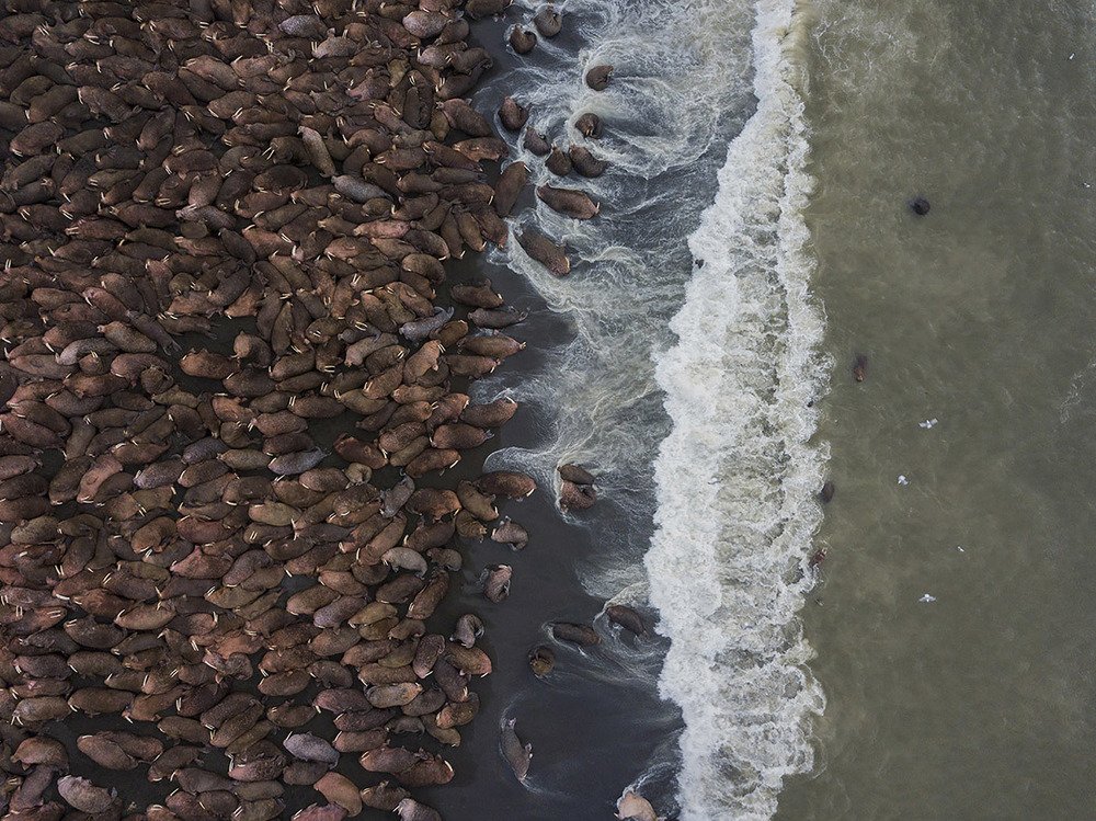 На границе двух сред