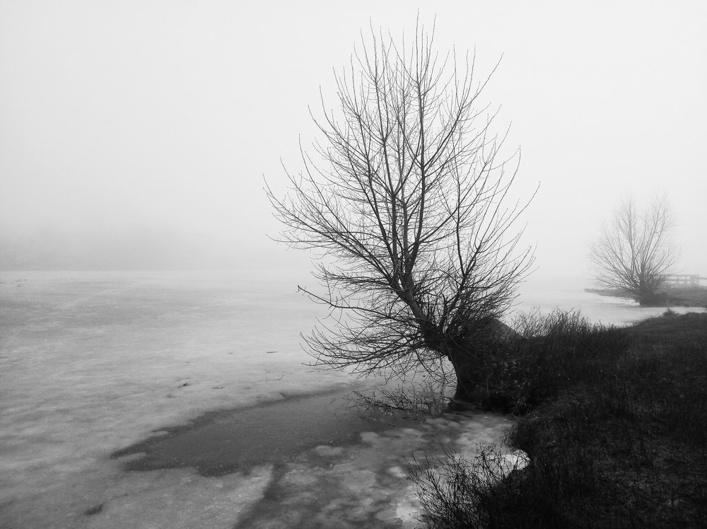 Photograph by Евгений