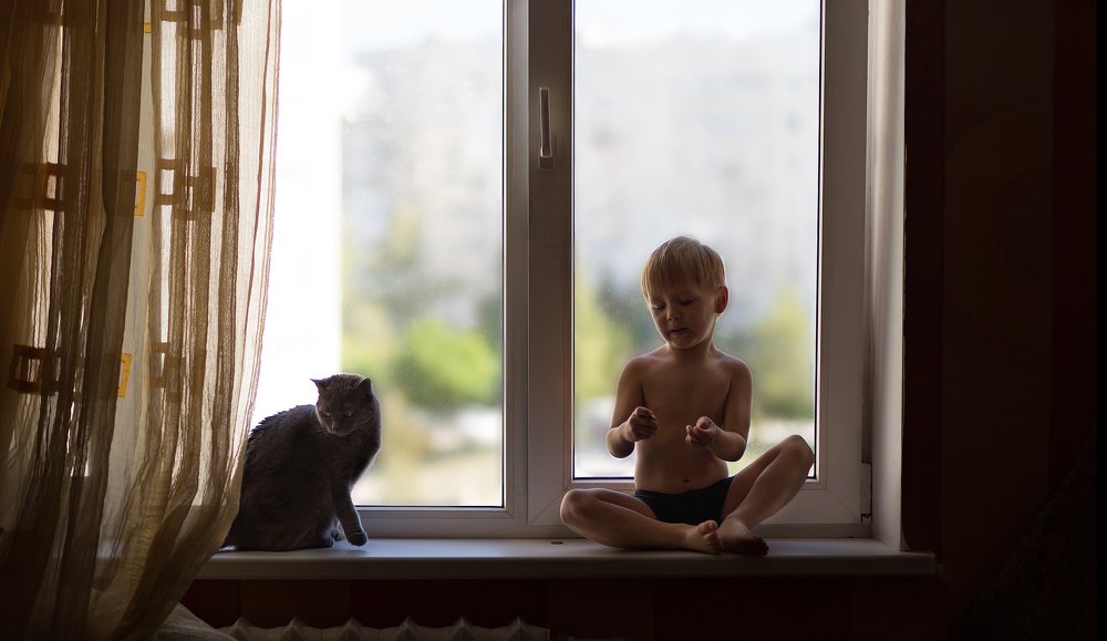 Человек и кошка