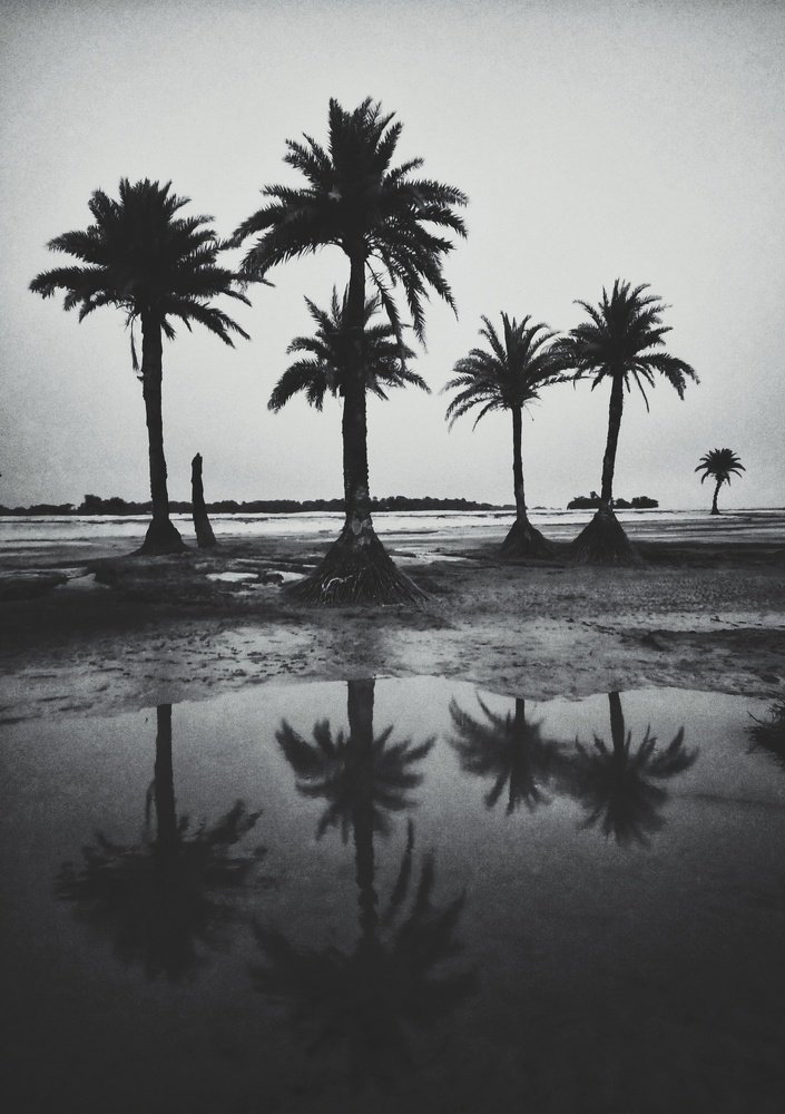 Photograph by Suresh Paul