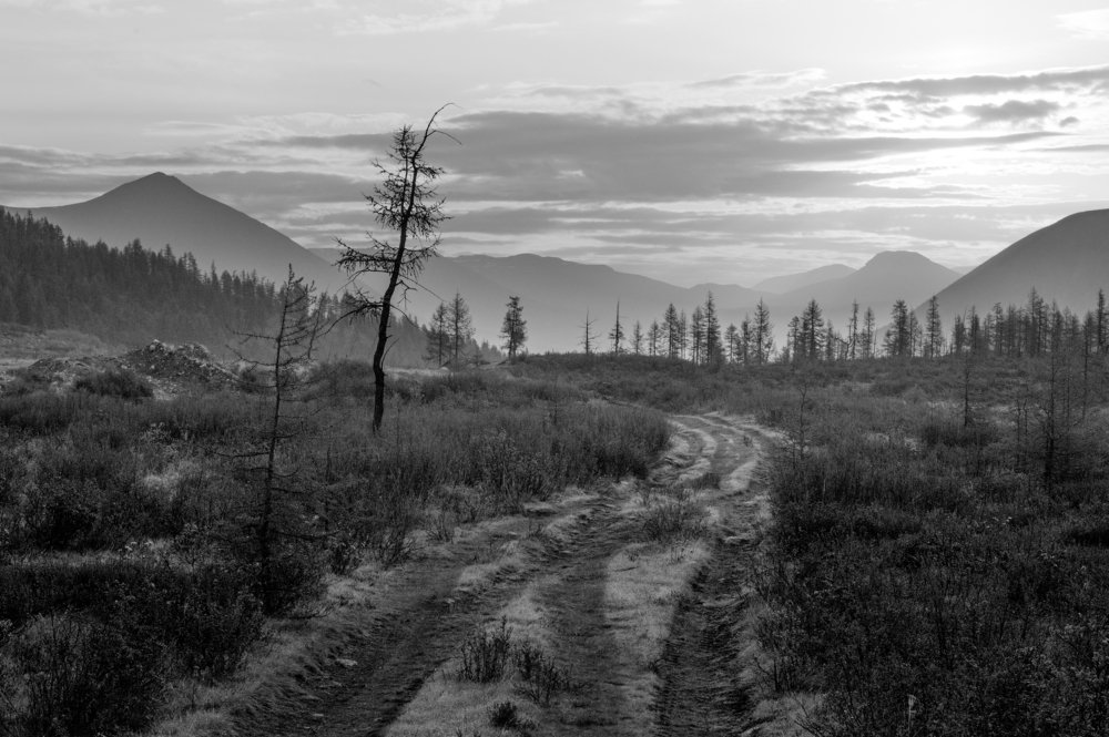 Саяны, утро