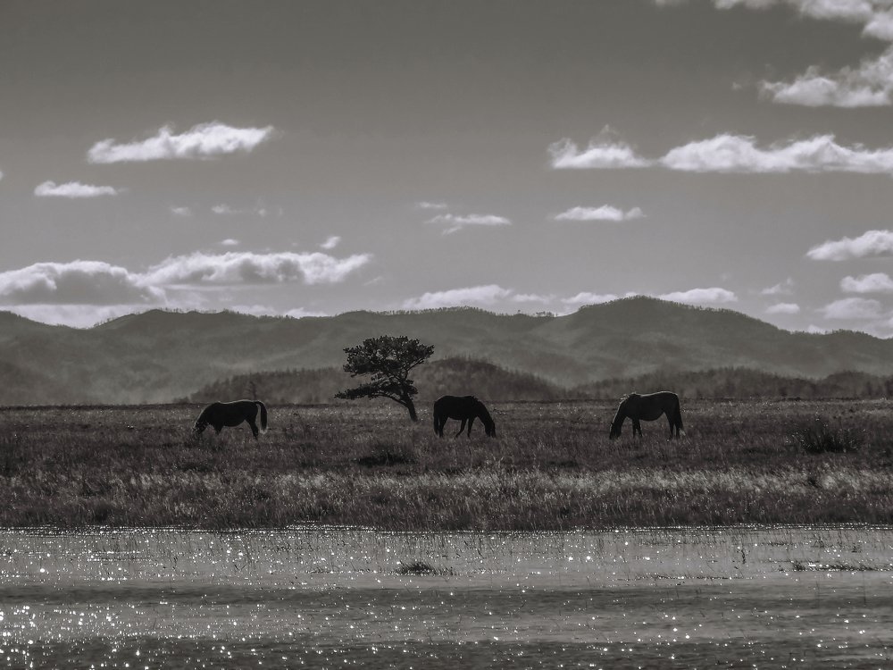 Photograph by Юля Стриж