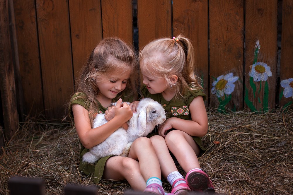 Photograph by Ксения Николаева