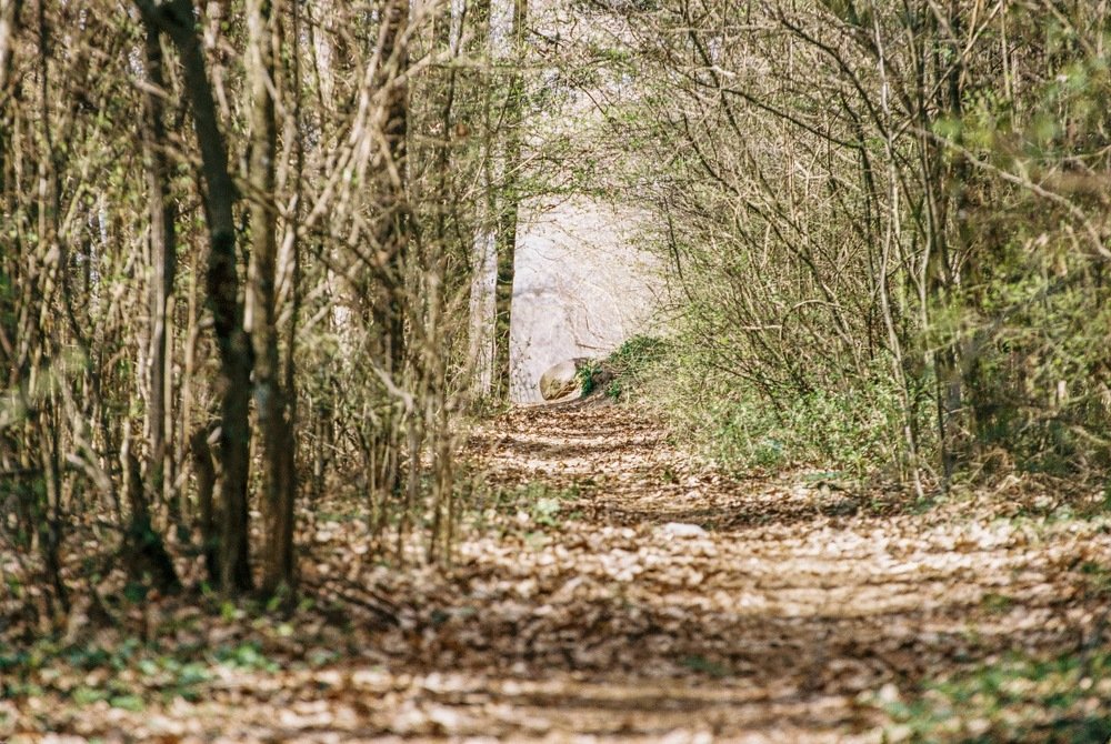 35 mm film photography