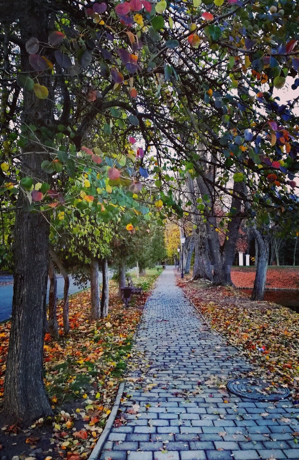 Аллея