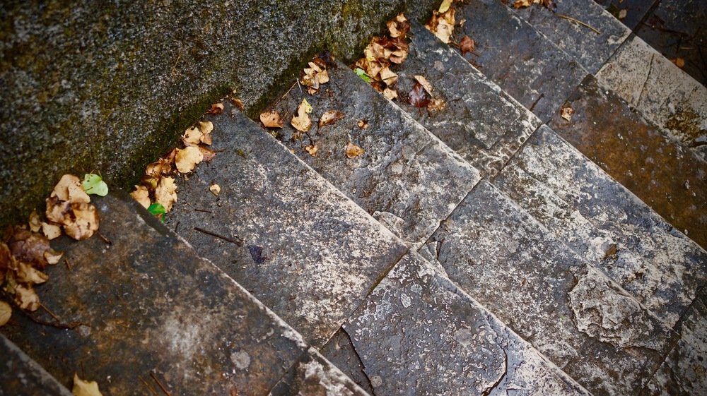 Photograph by Елена