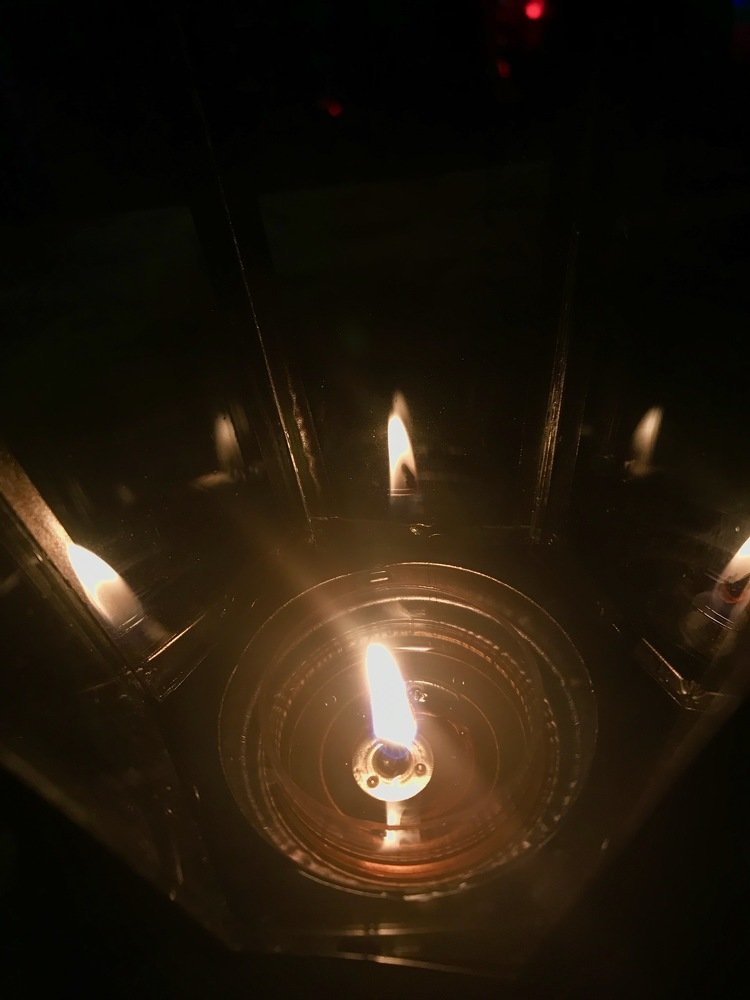 Photograph by Елена