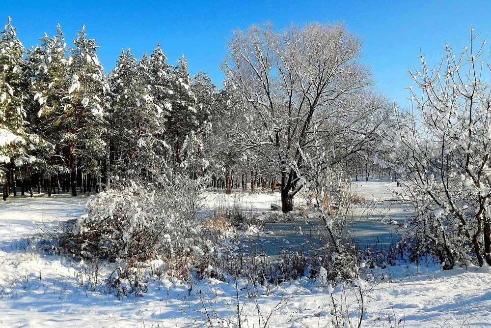 Снежный ажур