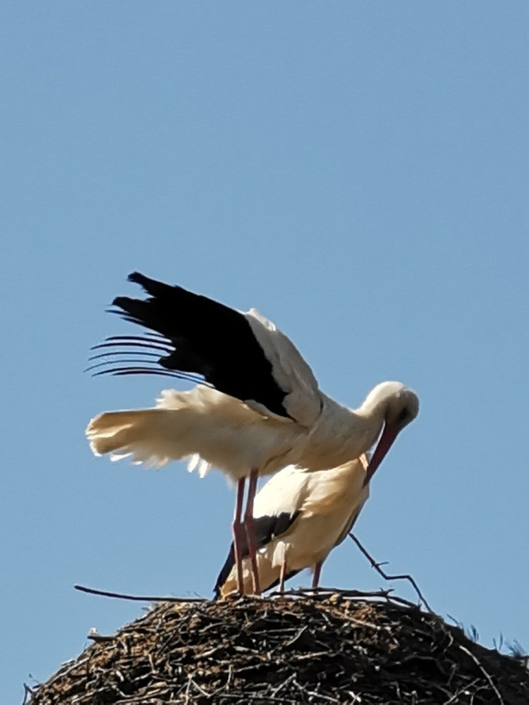 Photograph by Рутковская Жанна