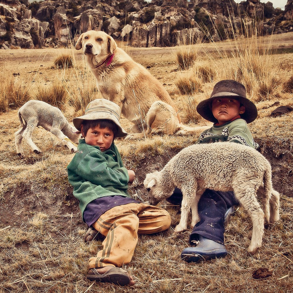 Niños Pastores