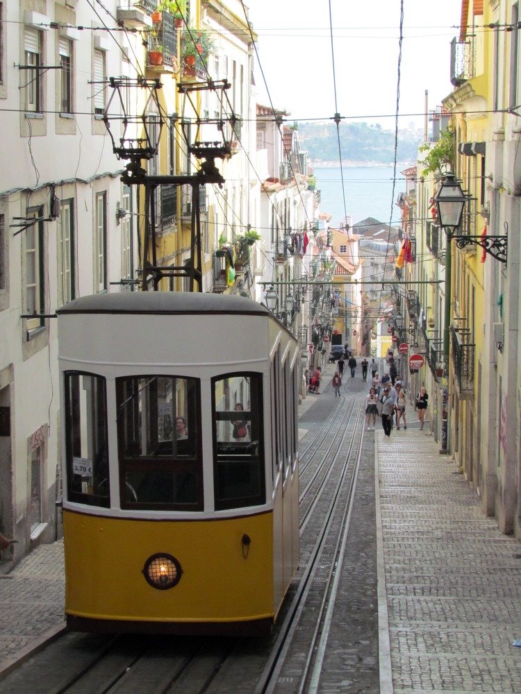 Photograph by Елена