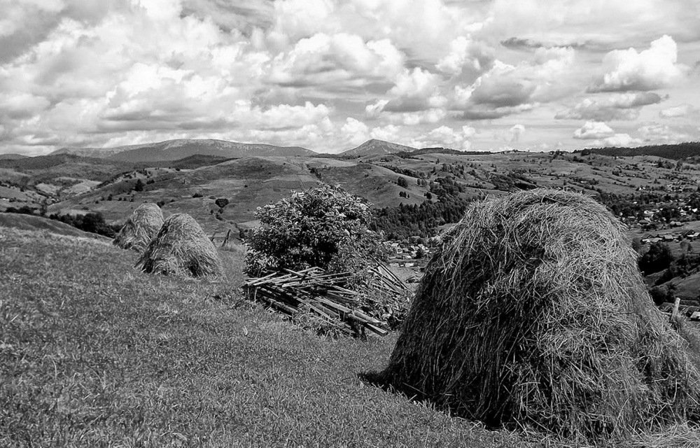 Карпатский колорит