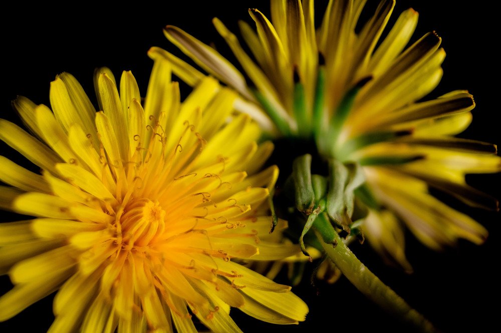 Photograph by Дмитрий Пропастин