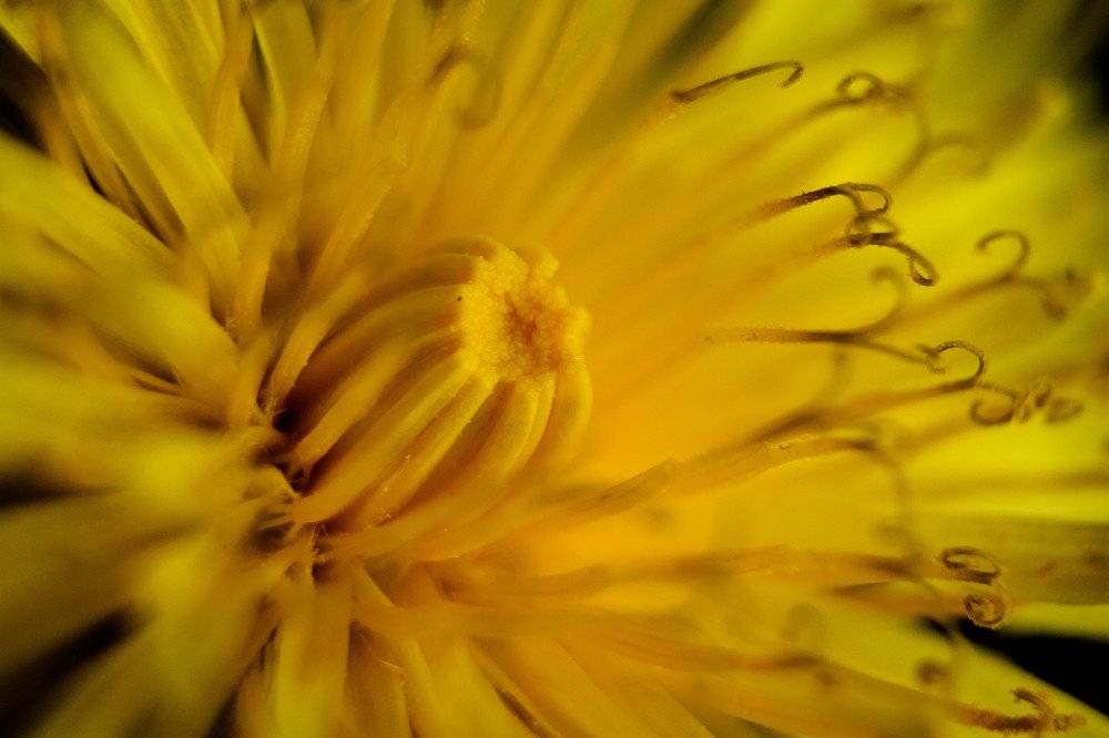 Photograph by Дмитрий Пропастин