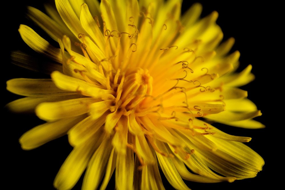 Photograph by Дмитрий Пропастин