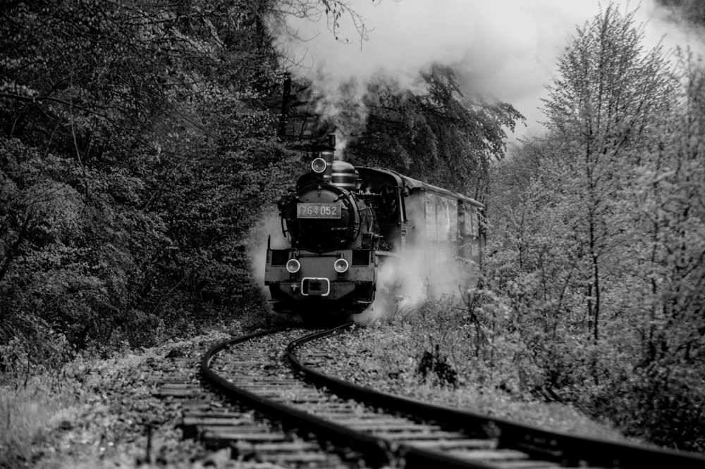 Steam train coming from the forest