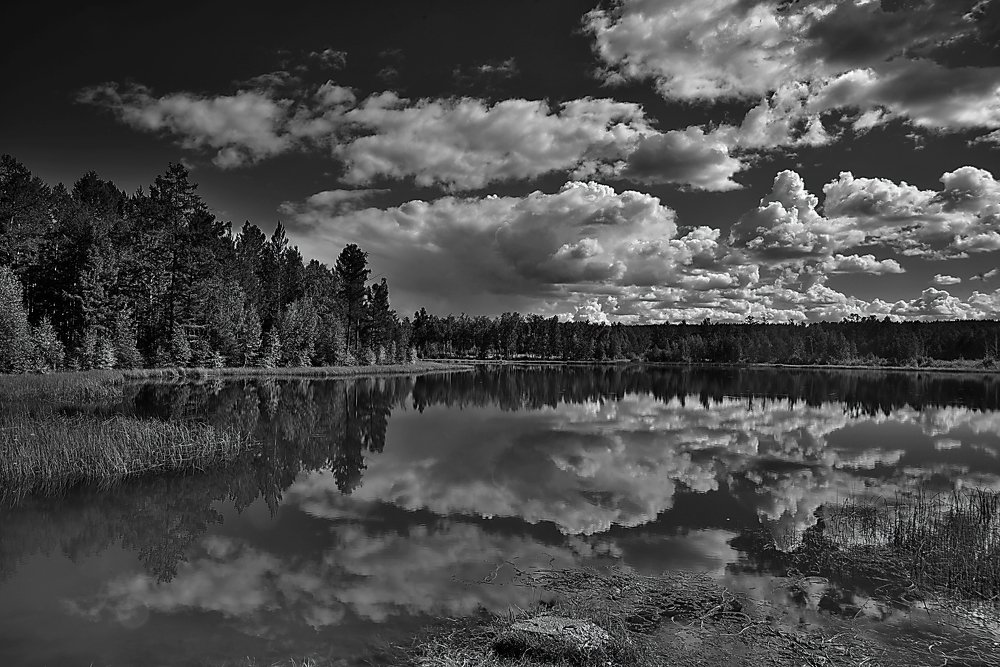 Photograph by Natalia Badyul