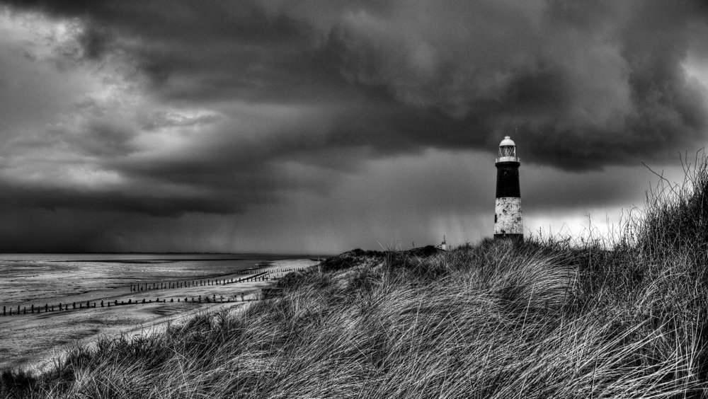 Spurn Thunder