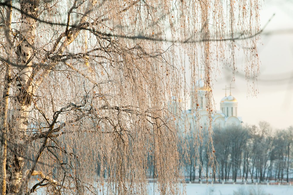 Зимний гобелен.