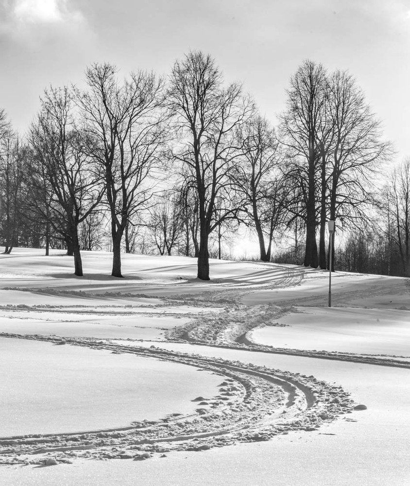 Photograph by Татьяна Макотра