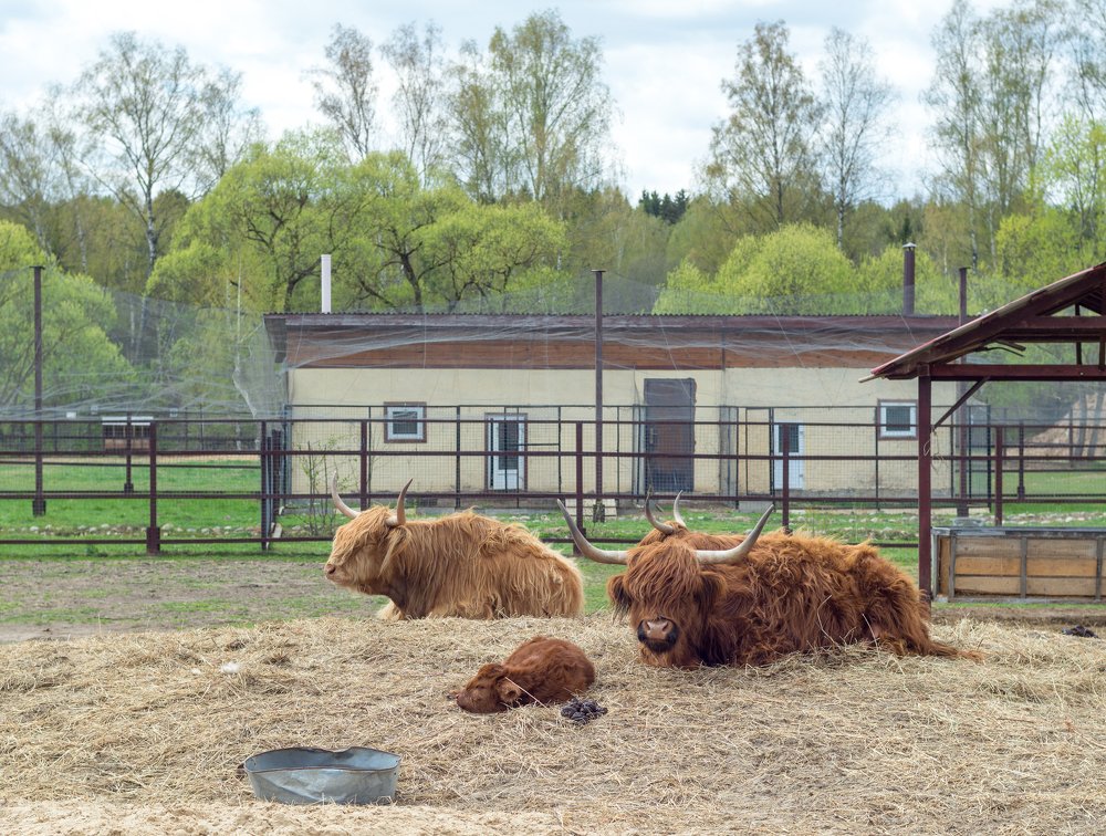 Семейство отдыхает.