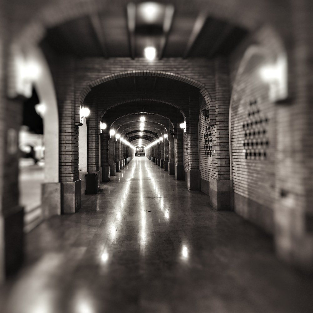 Iraq -Najaf msjed al shhla