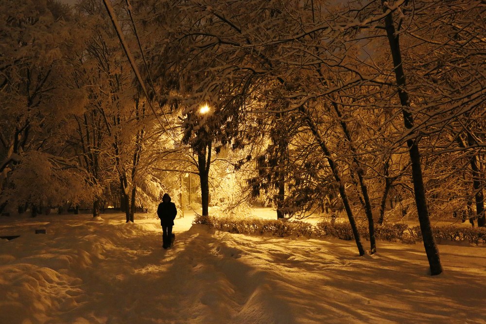 Прогулка в ночном парке