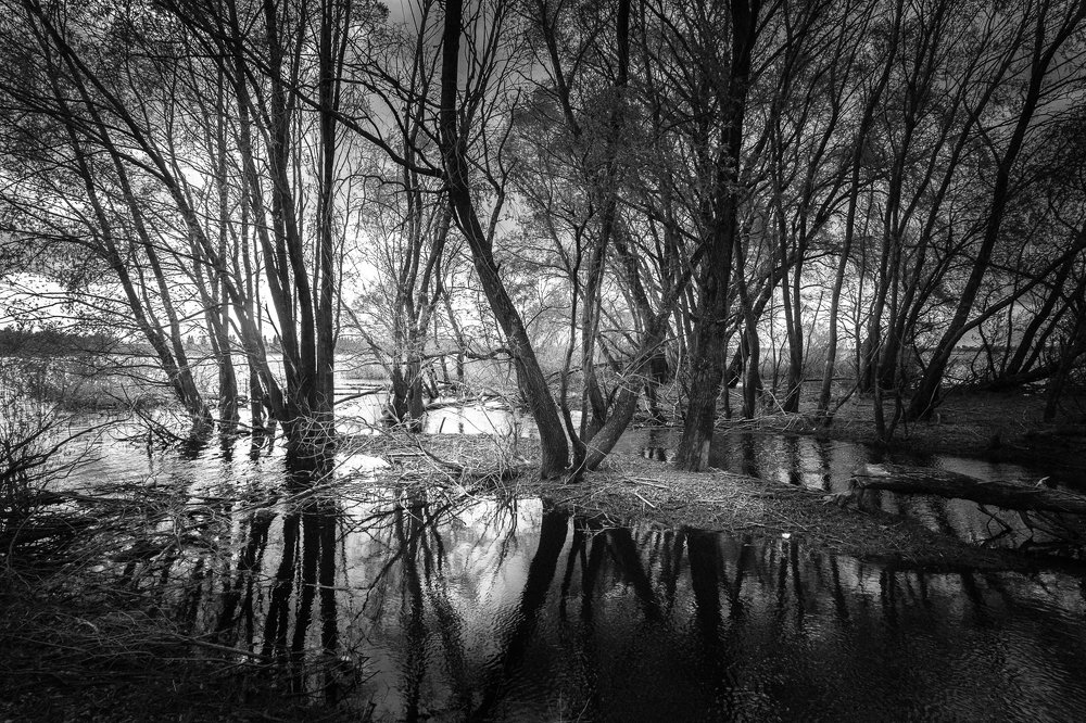 Фотография автора Светлана Морозова