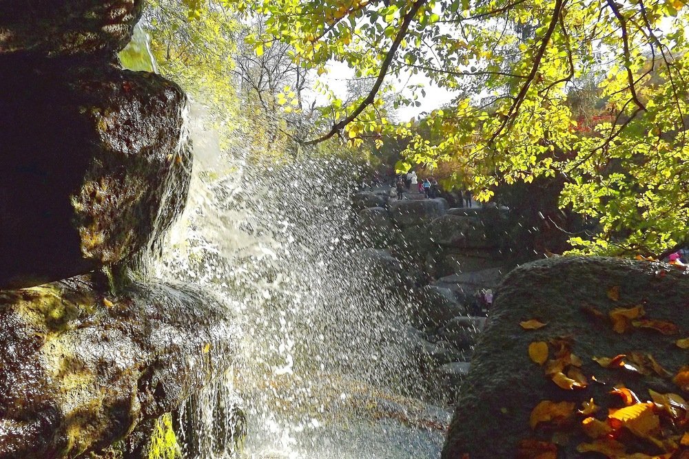 Осенние брызги