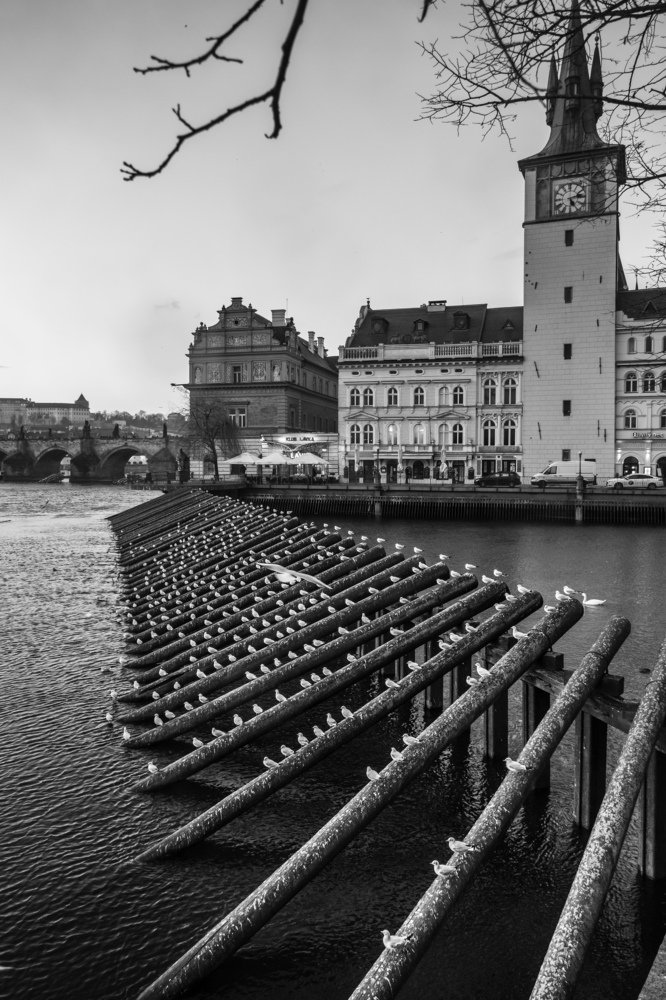 Photograph by Яна Костиненко