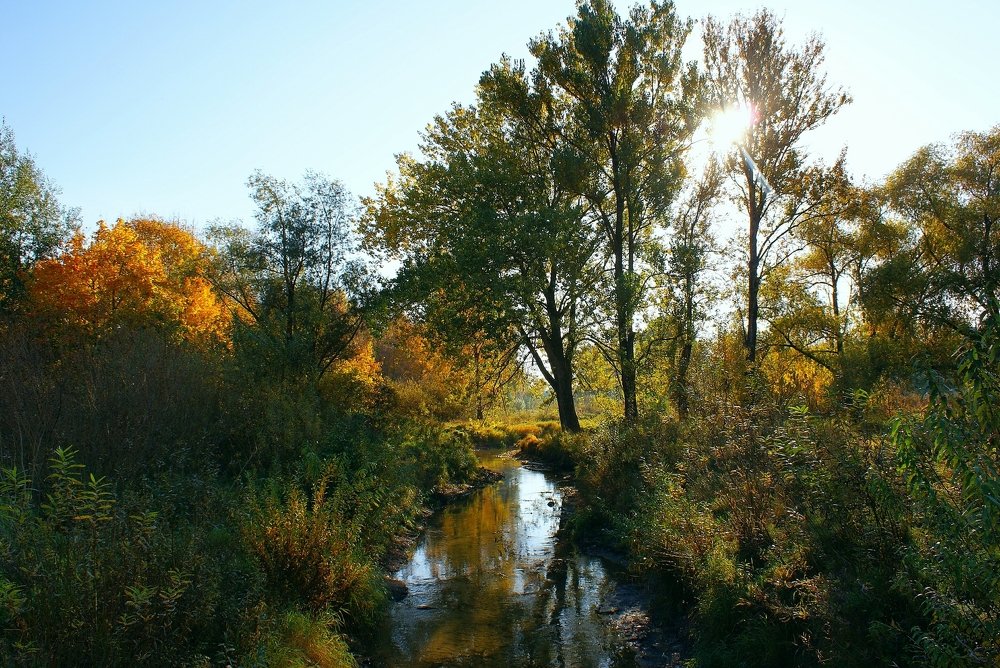Осенний парк