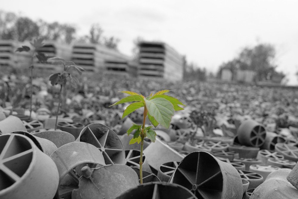 Цените природу