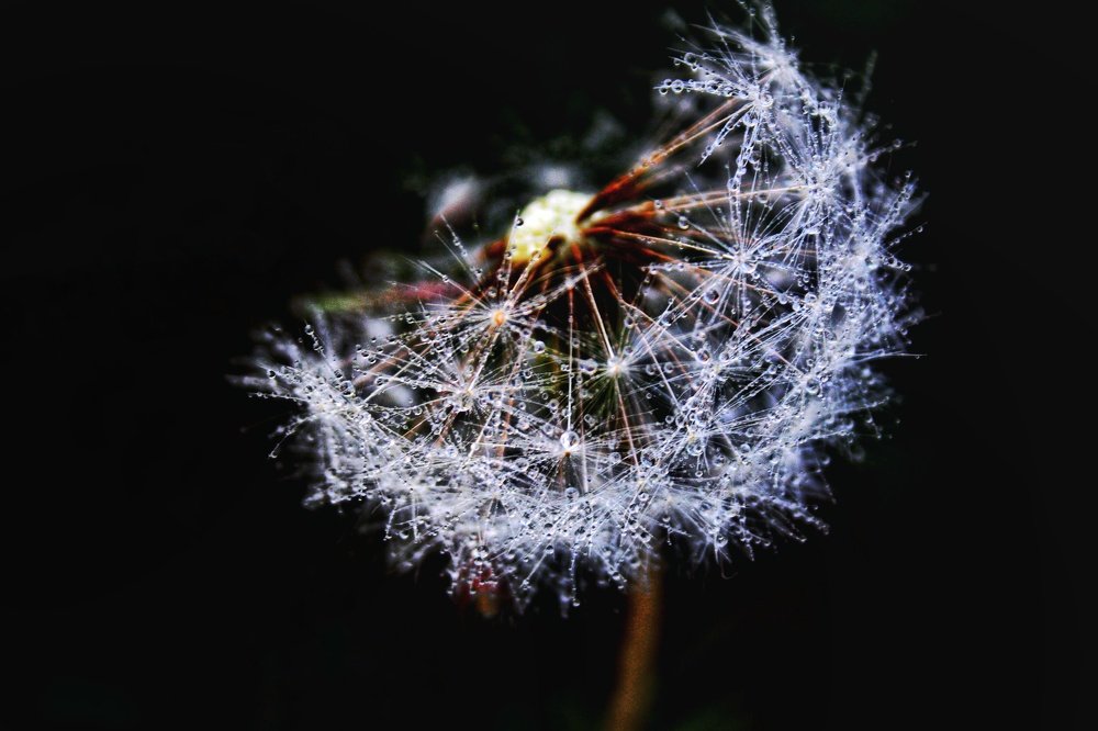 Photograph by Рыжик Алёна