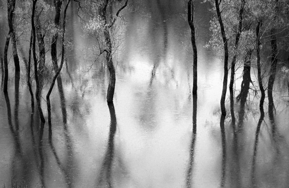 A Rainy day at a Scadar lake