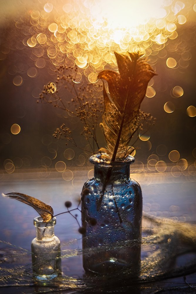 Фотография автора Андрей Сосновский