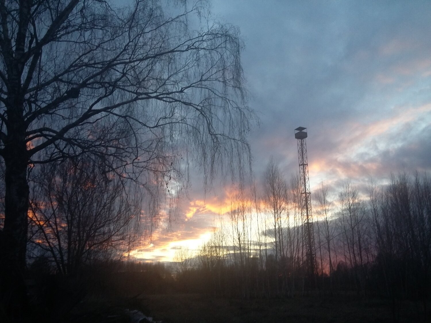 Photo #3193660