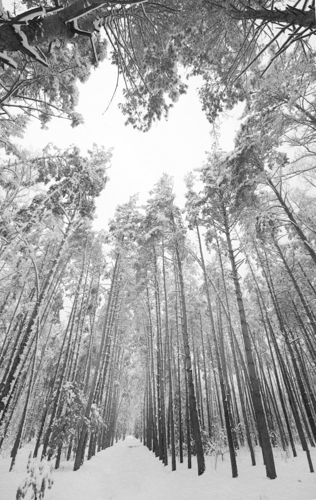 Фотография автора Денис Сухинин