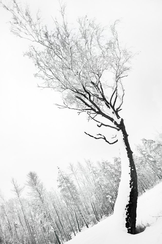 Фотография автора Денис Сухинин