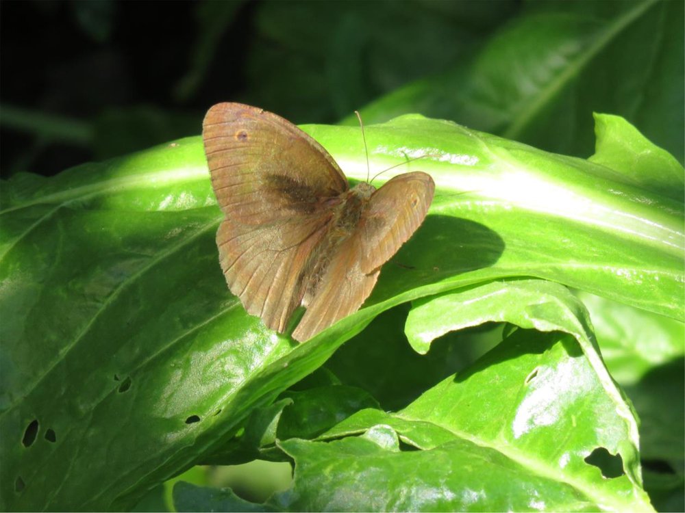 the meaning of the smile called life :)