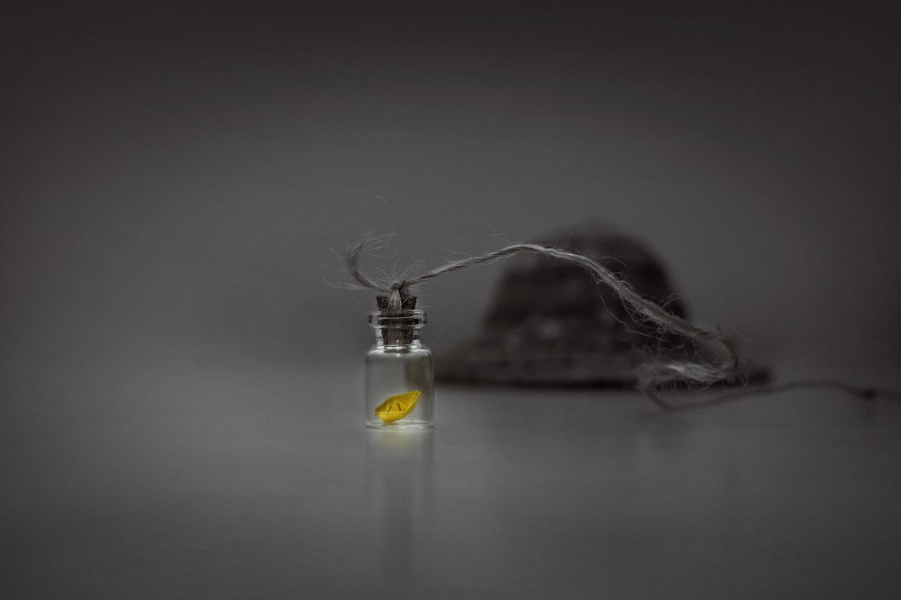 Несвершённое путешествие