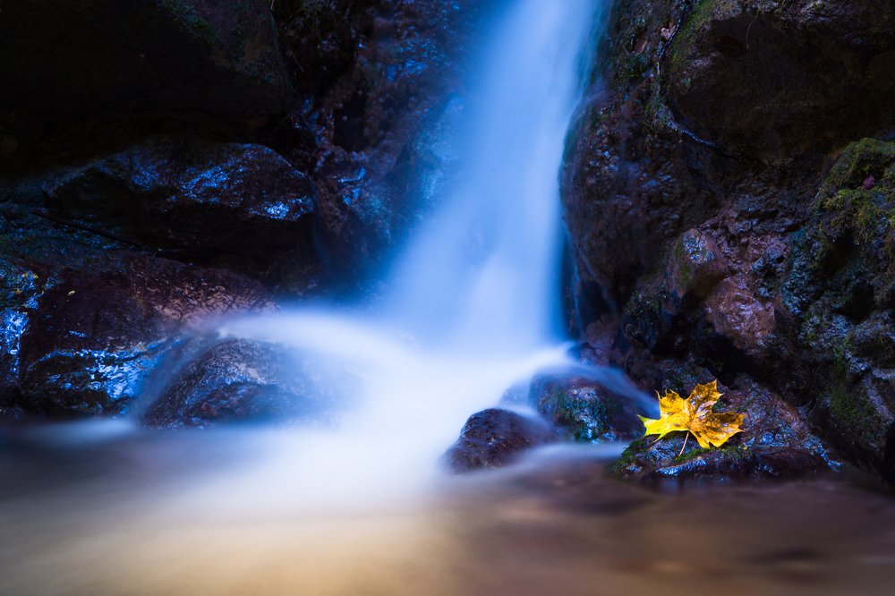 Autumn in the Dorngraben