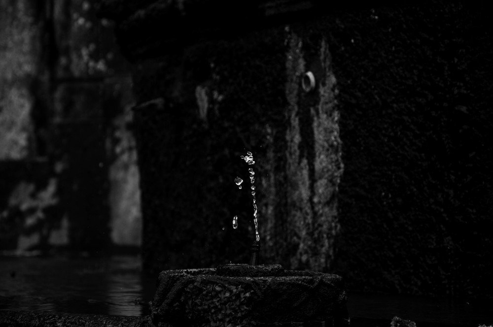 Photograph by Людмила