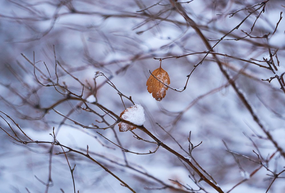 одиночество