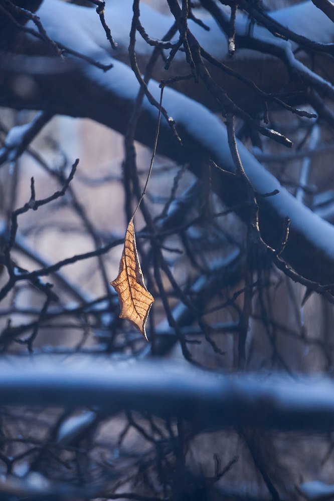 совсем один