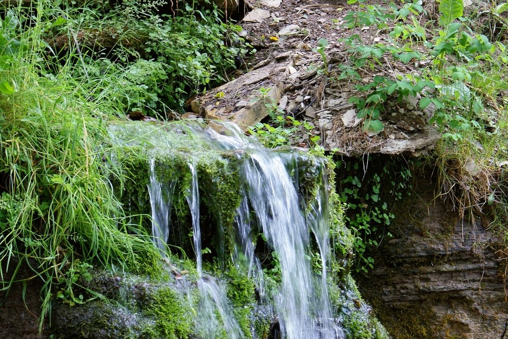 Зеленый ключ. Изборск