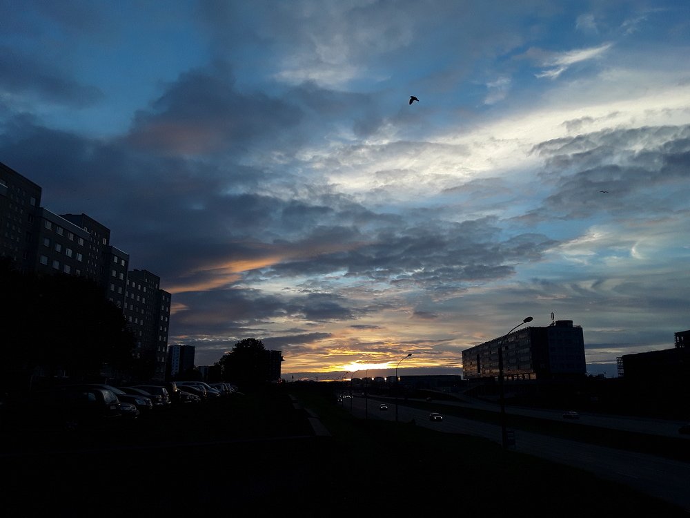 Ночь в Таллине