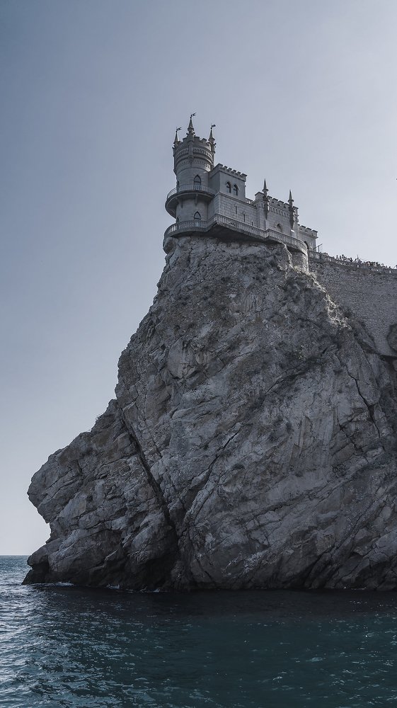 swallow's nest