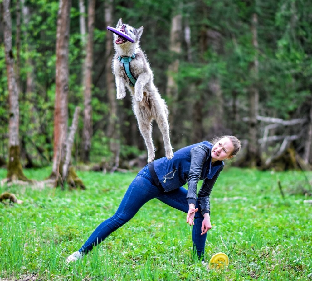 Фотография автора Мария Яропольская