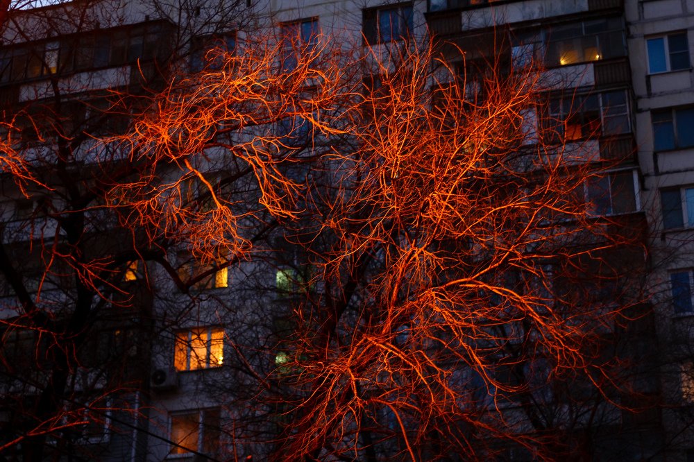 Вены городов