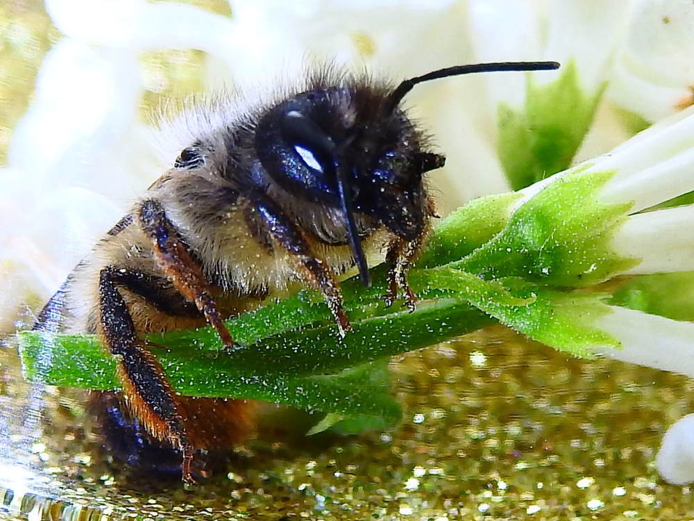 Photograph by Олександр Максимюк